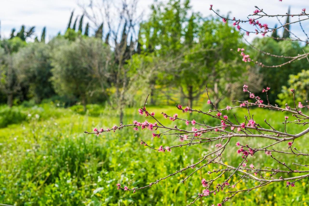 Villa Traumhafte Finca Son Senyor - Mit Pferdekoppel à Sa Pobla Extérieur photo