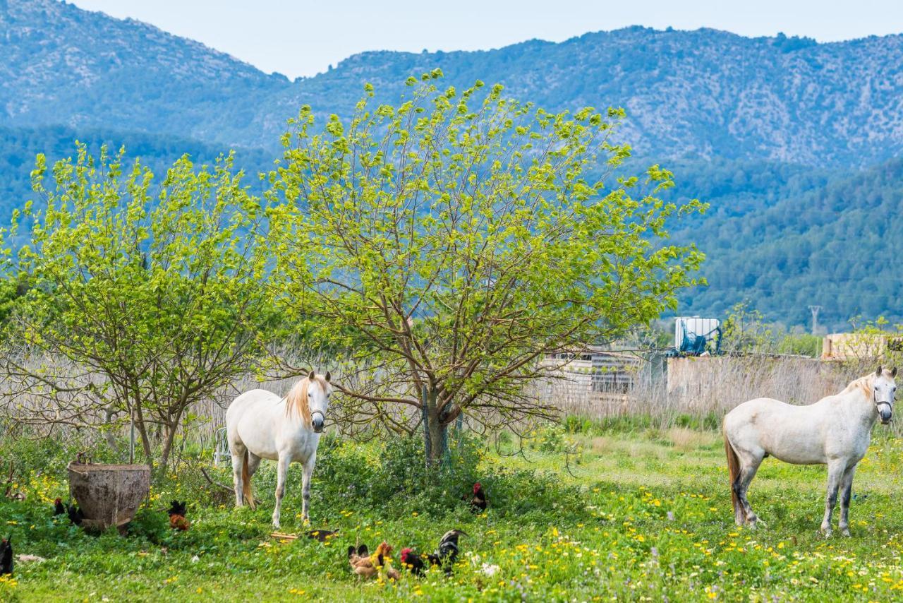Villa Traumhafte Finca Son Senyor - Mit Pferdekoppel à Sa Pobla Extérieur photo